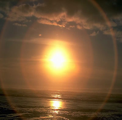 Purchase Sun